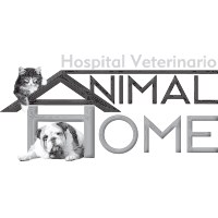 animal-home