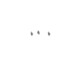 juguete-rabioso